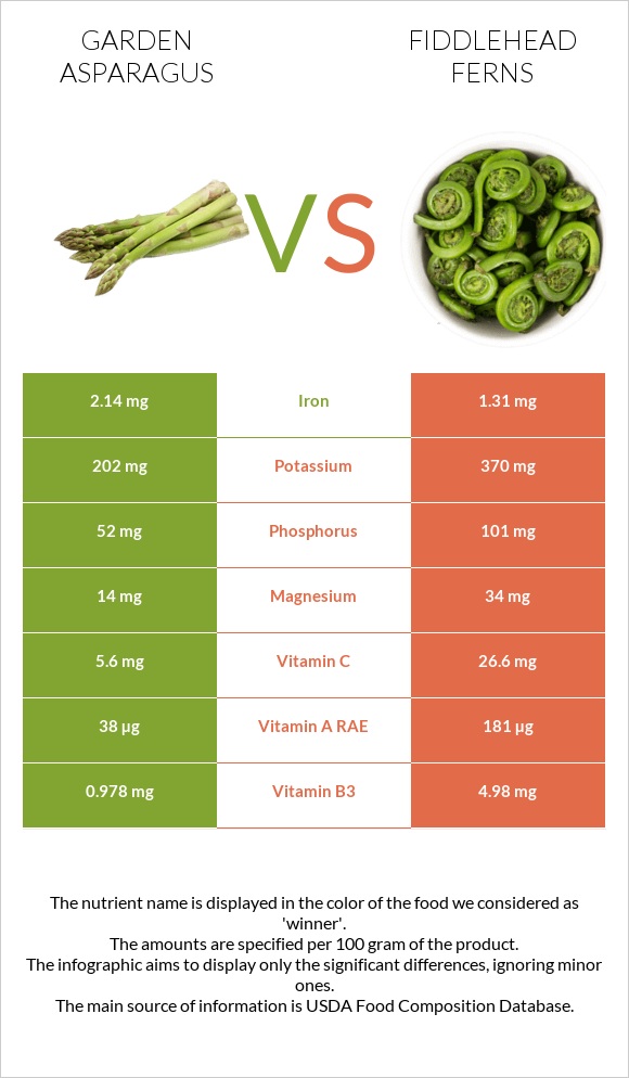 Garden asparagus vs Fiddlehead ferns infographic