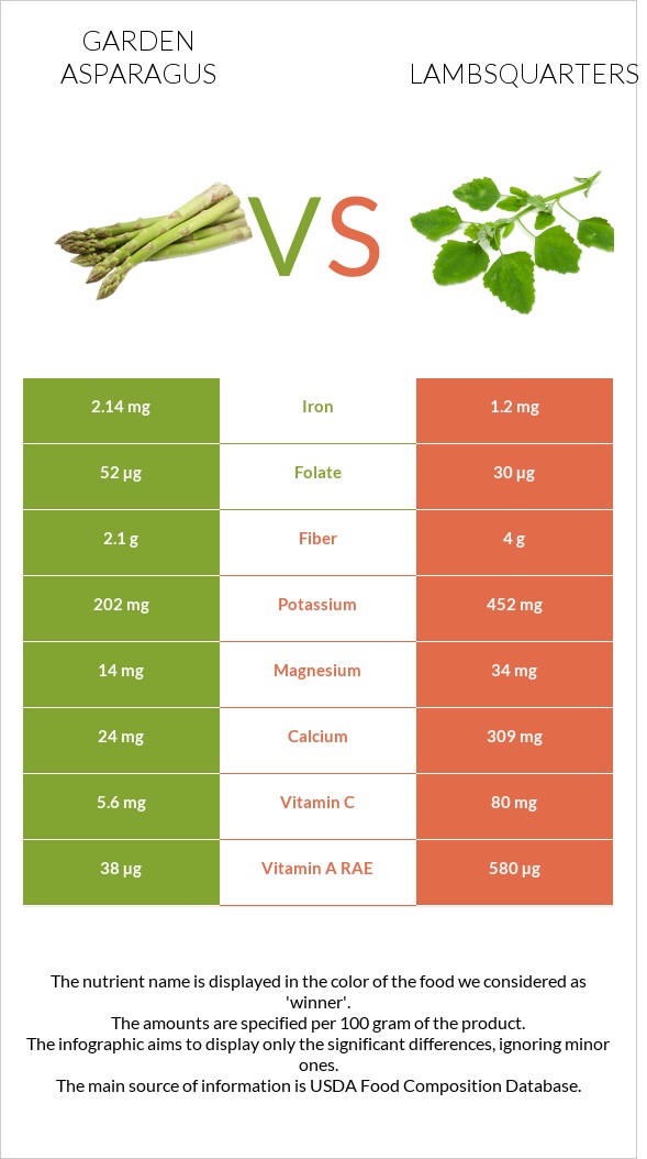 Garden asparagus vs Lambsquarters infographic