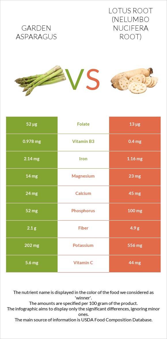 Garden asparagus vs Lotus root infographic