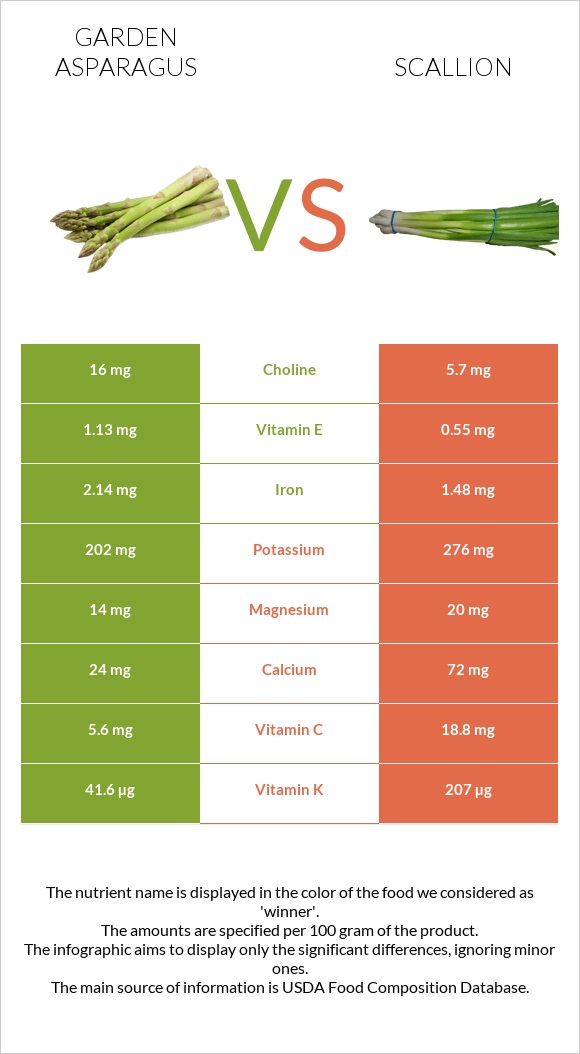 Garden asparagus vs Scallion infographic