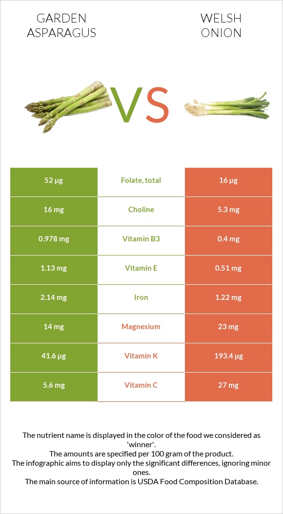 Garden asparagus vs Welsh onion infographic