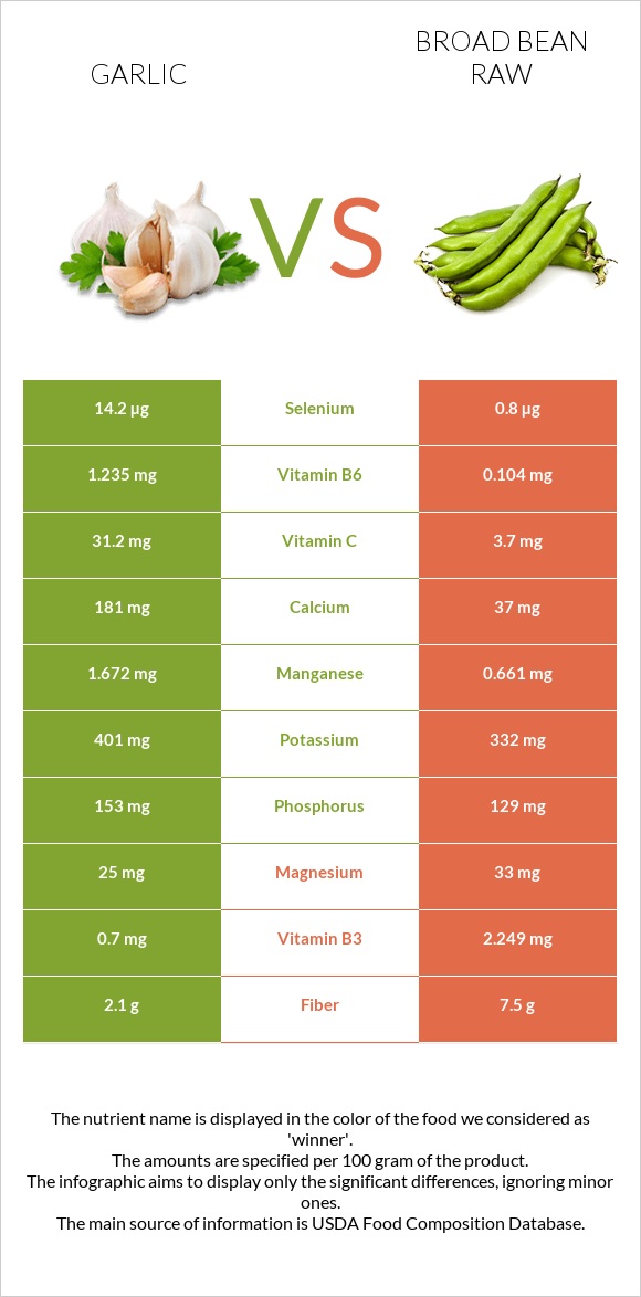 Garlic vs Broad bean raw infographic
