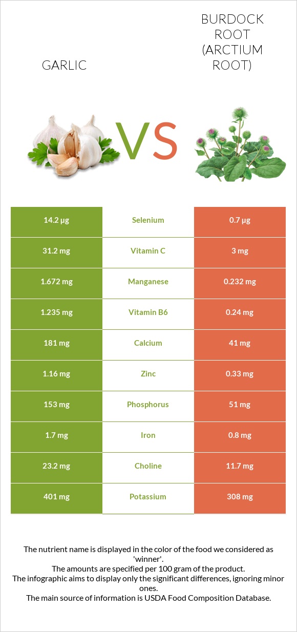 Garlic vs Burdock root infographic