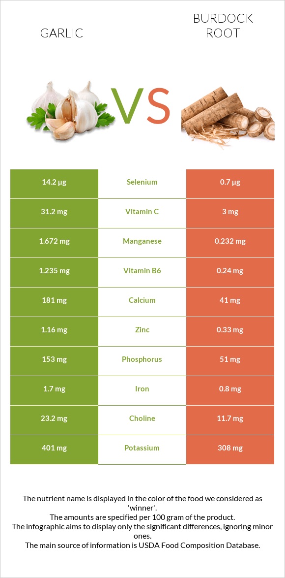 Սխտոր vs Կռատուկի արմատ (արկտի արմատ) infographic