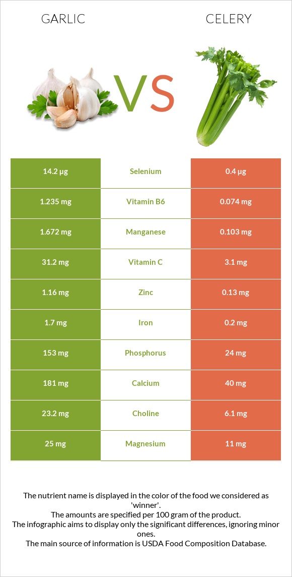 Garlic vs Celery infographic