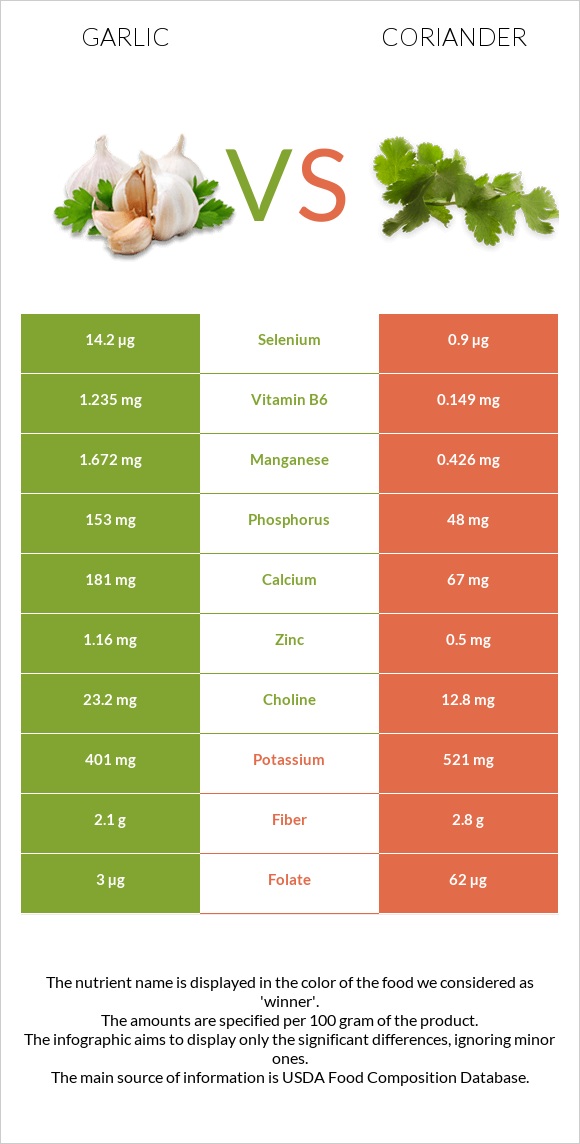 Garlic vs Coriander infographic