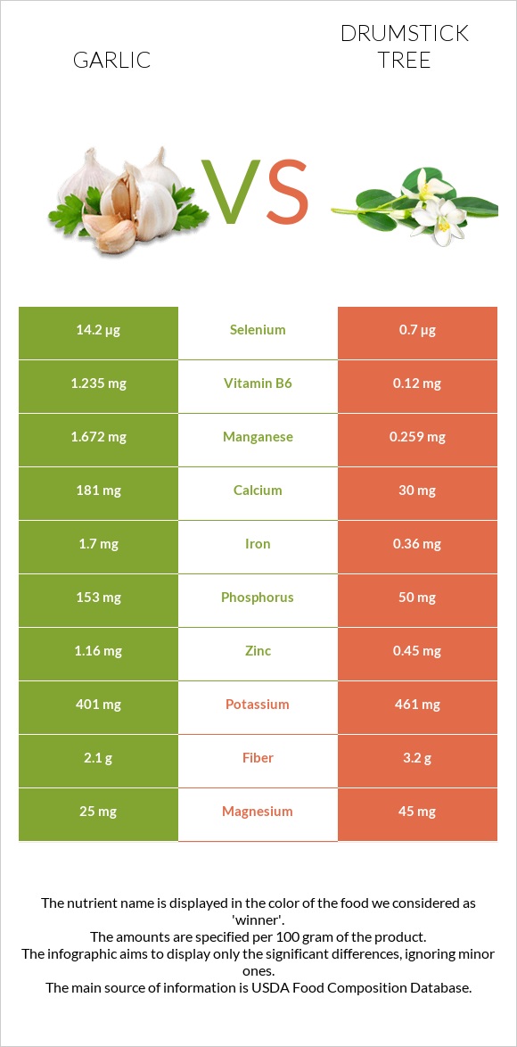 Garlic vs Drumstick tree infographic