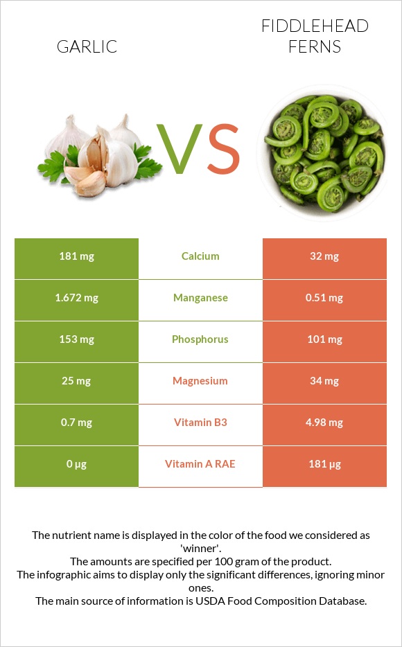 Garlic vs Fiddlehead ferns infographic