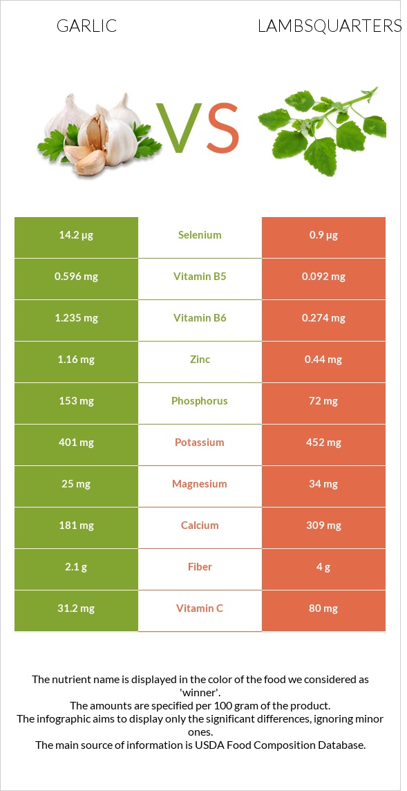 Garlic vs Lambsquarters infographic