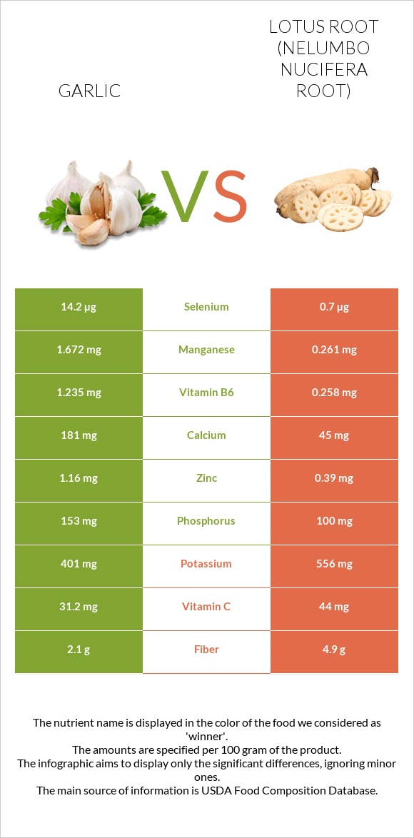 Garlic vs Lotus root infographic