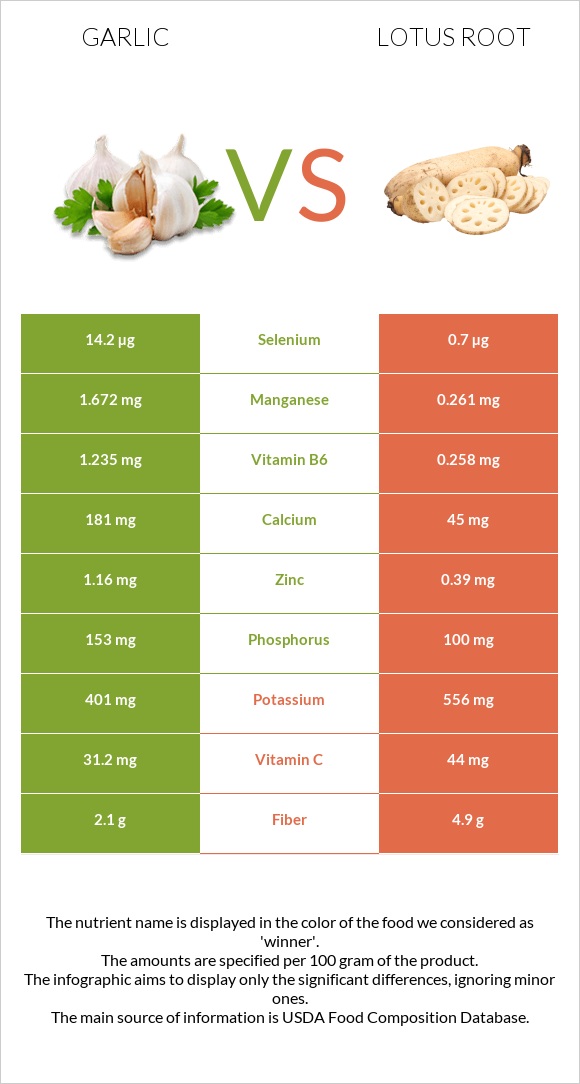 Սխտոր vs Լոտոս արմատ infographic