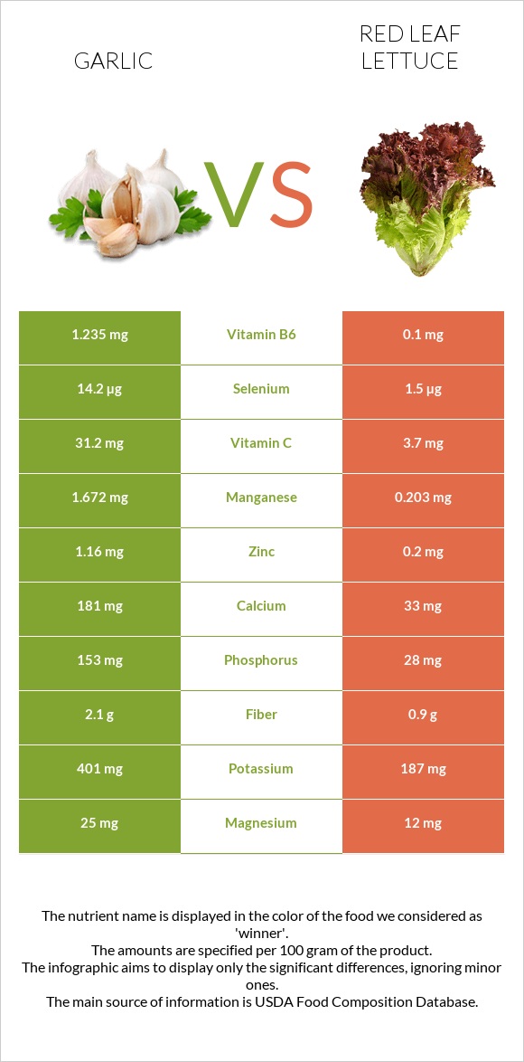 Սխտոր vs Red leaf lettuce infographic