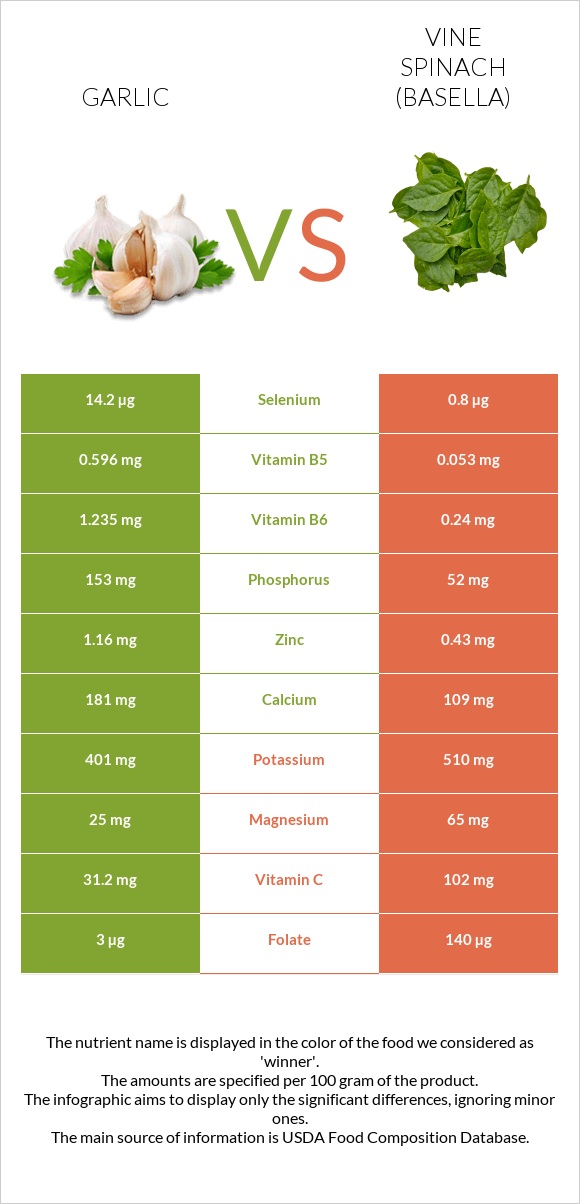 Սխտոր vs Vine spinach (basella) infographic