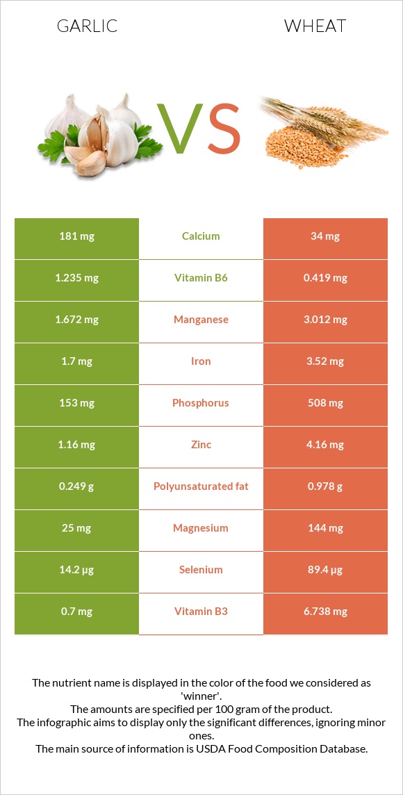 Garlic vs Wheat  infographic