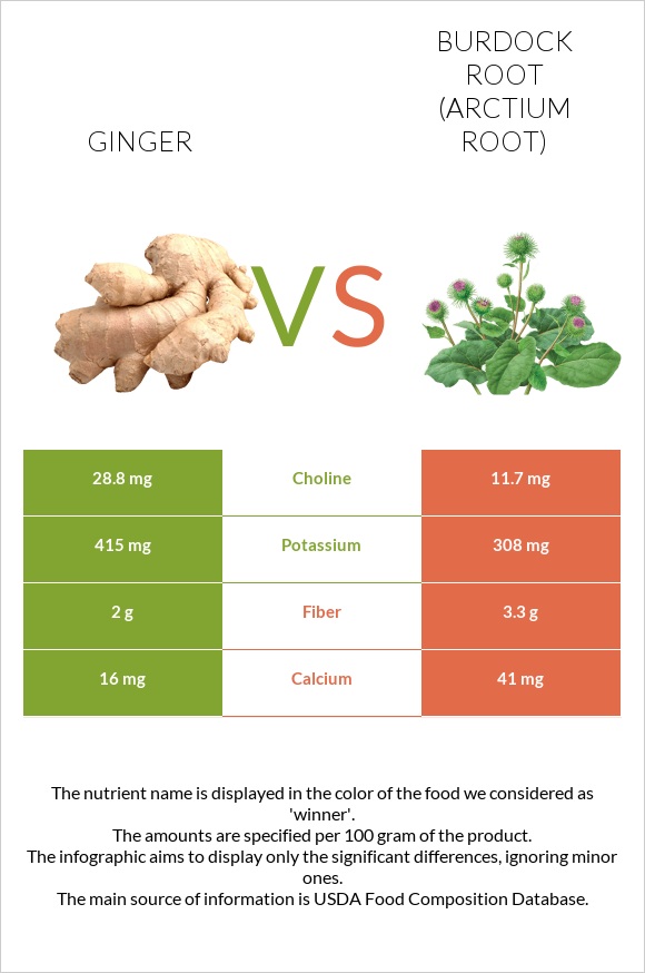 Ginger vs Burdock root infographic