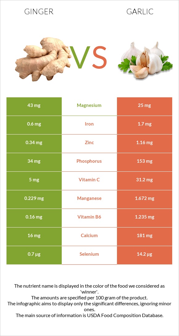 Ginger vs Garlic infographic