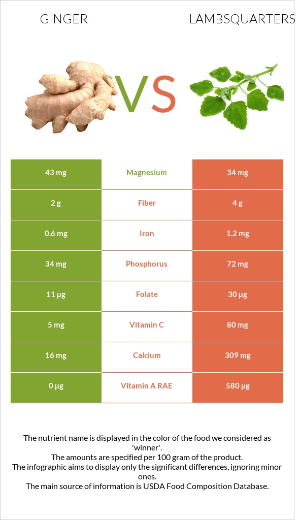 Ginger vs Lambsquarters infographic