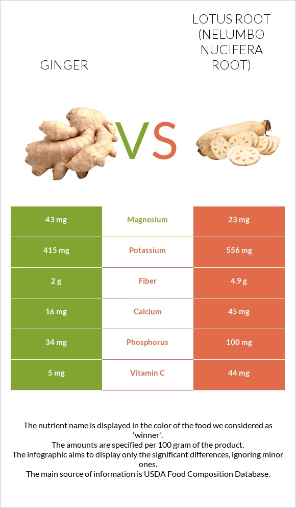 Ginger vs Lotus root infographic