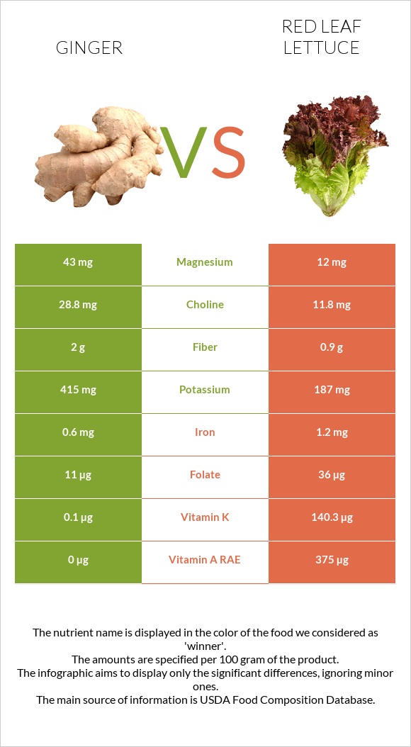 Կոճապղպեղ vs Red leaf lettuce infographic