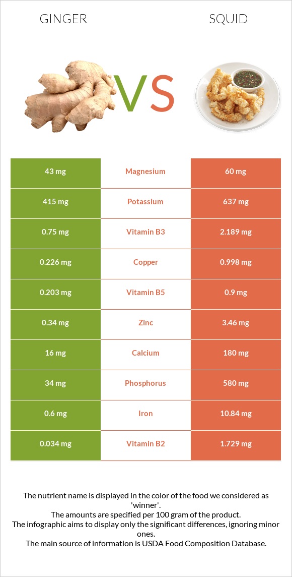 Ginger vs Squid infographic