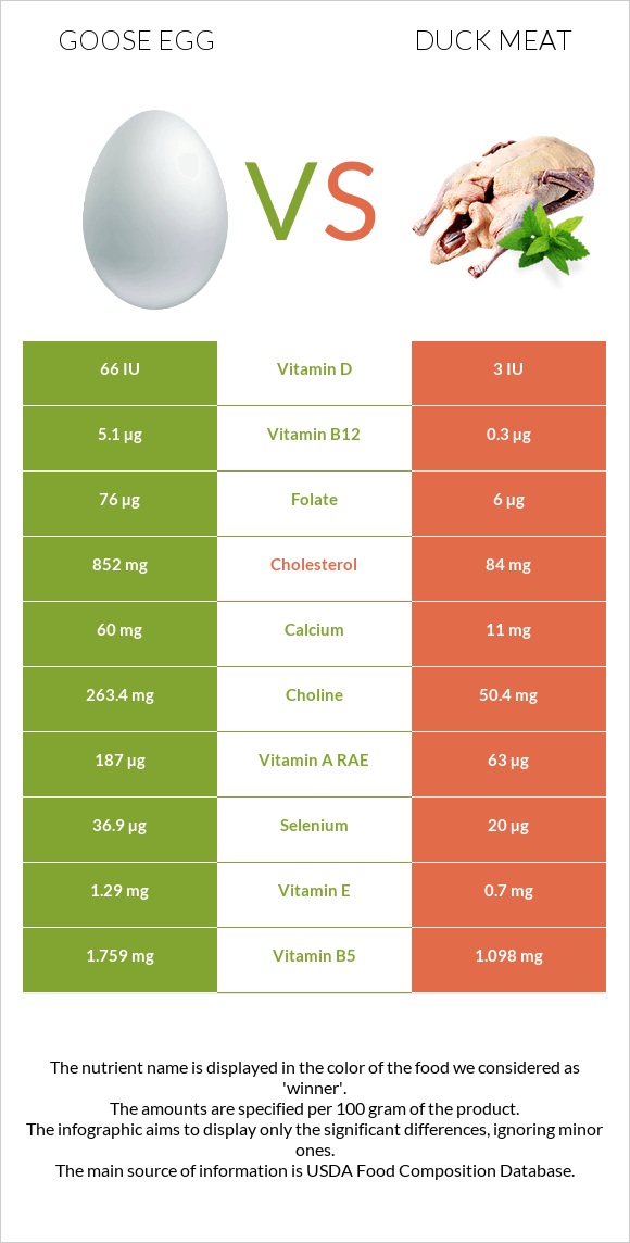 Goose egg vs Duck meat infographic