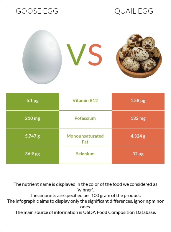 Goose egg vs Quail egg infographic