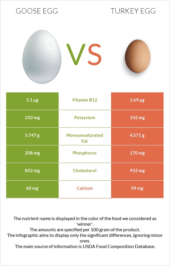 Goose egg vs Turkey egg infographic