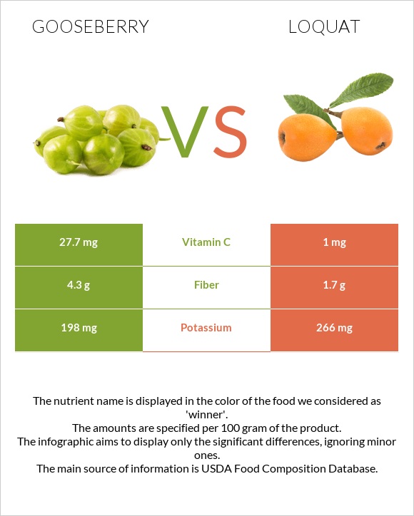 Gooseberry vs Loquat infographic