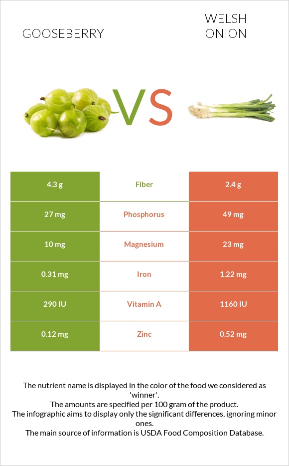 Փշահաղարջ vs Սոխ բատուն infographic