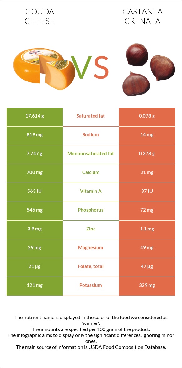 Gouda cheese vs Castanea crenata infographic