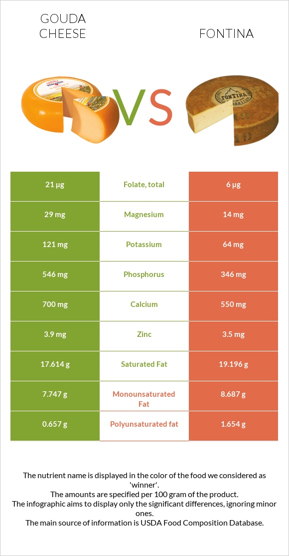 Gouda cheese vs Fontina infographic