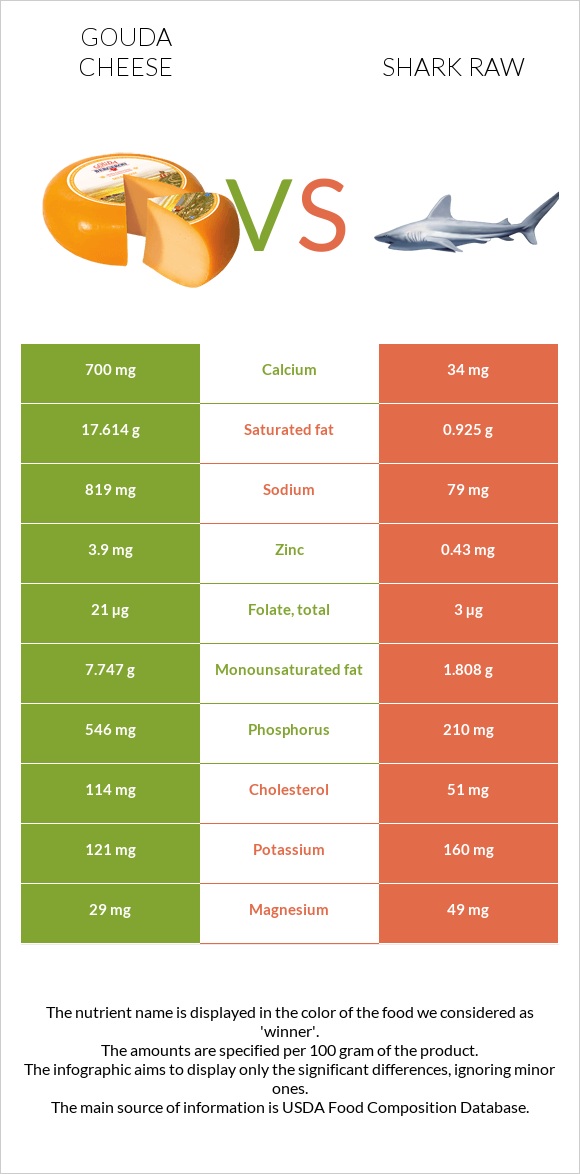 Gouda cheese vs Shark raw infographic