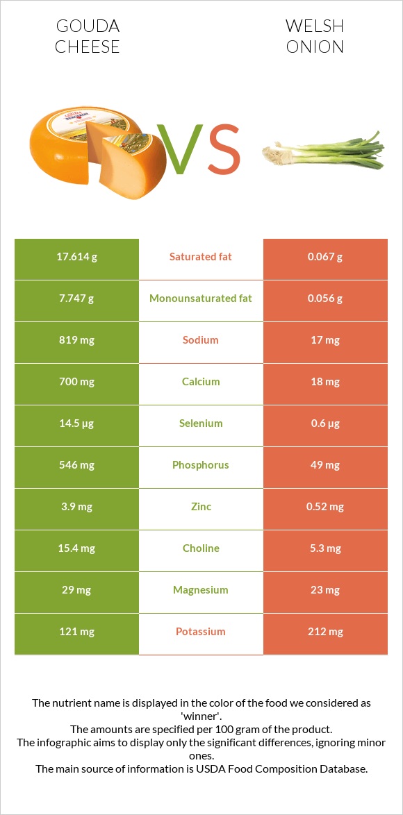 Gouda cheese vs Welsh onion infographic