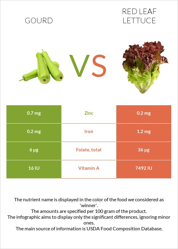 Դդում vs Red leaf lettuce infographic