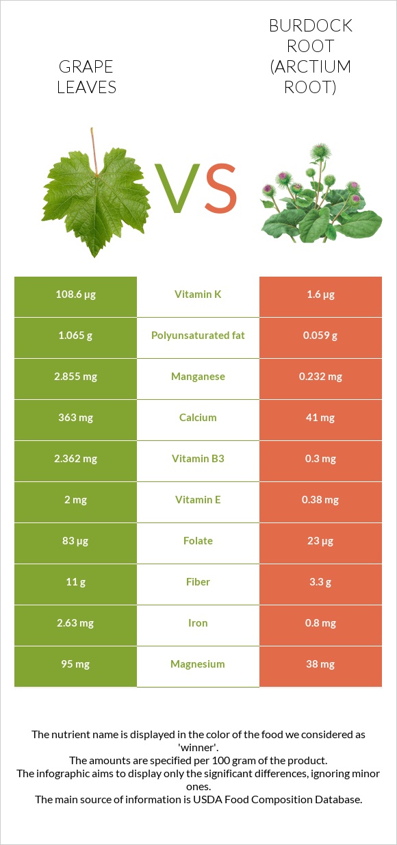 Grape leaves vs Burdock root infographic