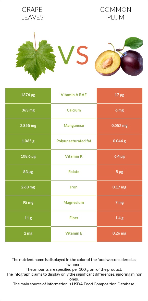 Grape leaves vs Plum infographic