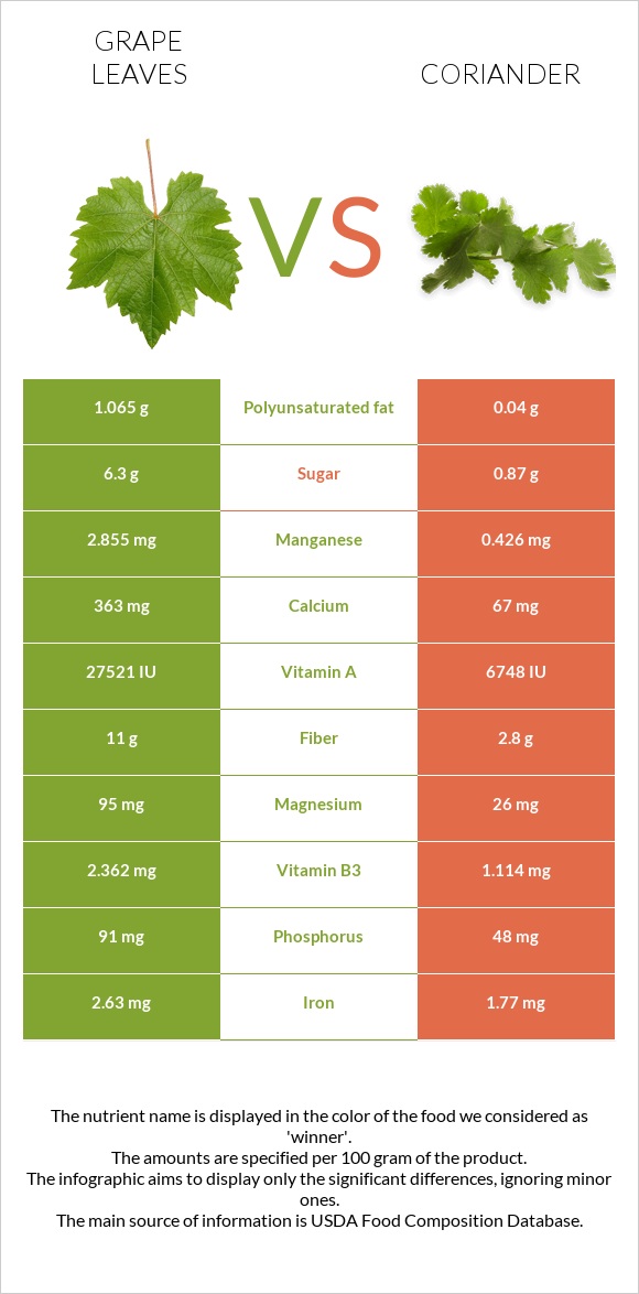 Խաղողի թուփ vs Համեմ infographic