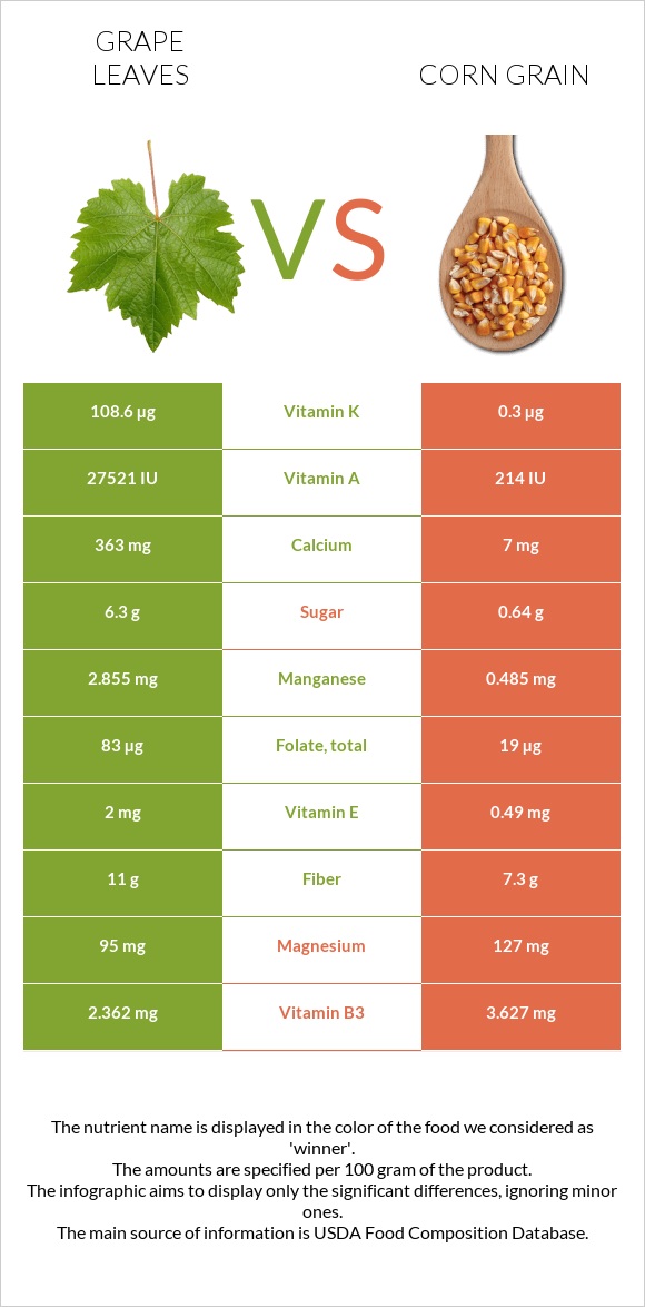 Grape leaves vs Corn grain infographic