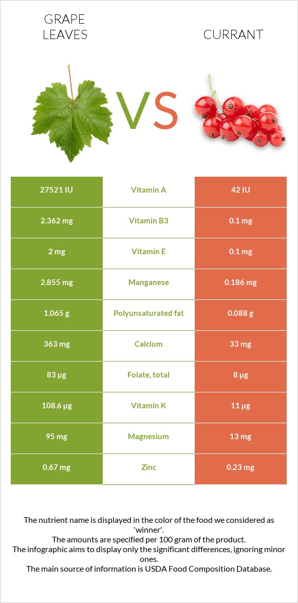 Grape leaves vs Currant infographic