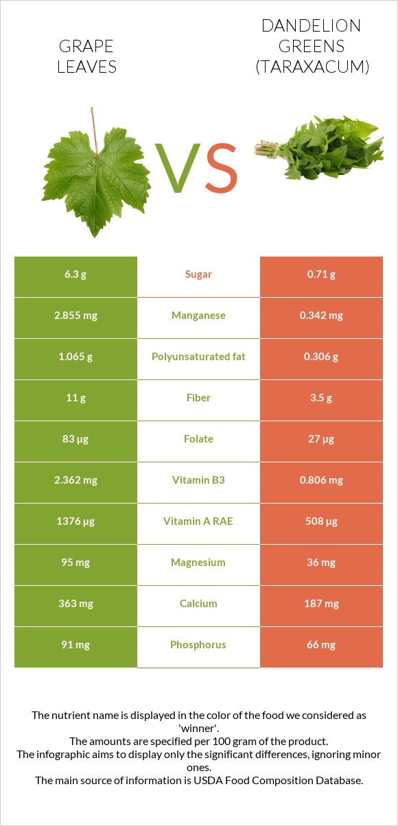 Grape leaves vs Dandelion greens infographic