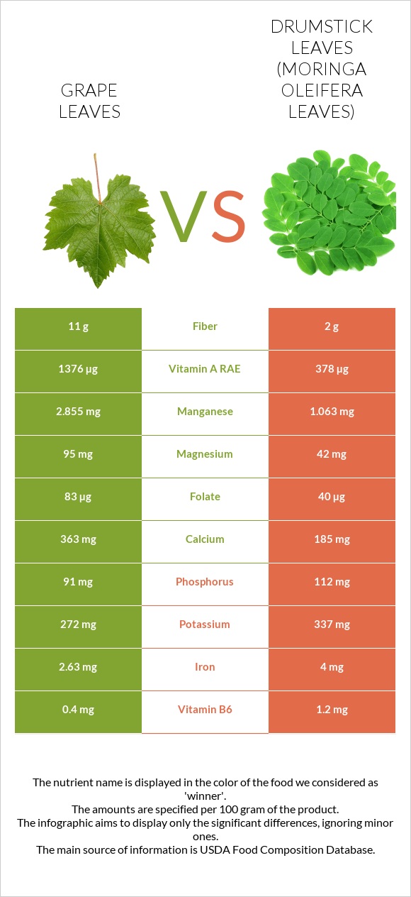 Grape leaves vs Drumstick leaves infographic