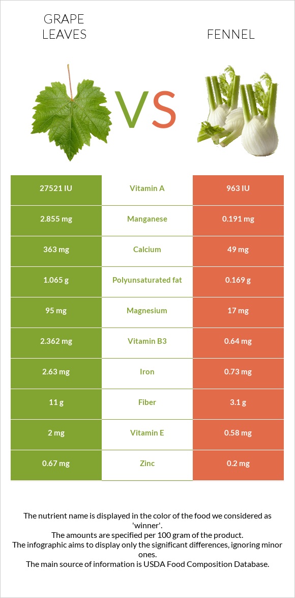 Grape leaves vs Fennel infographic
