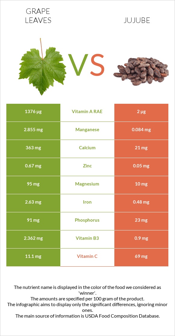 Grape leaves vs Jujube infographic