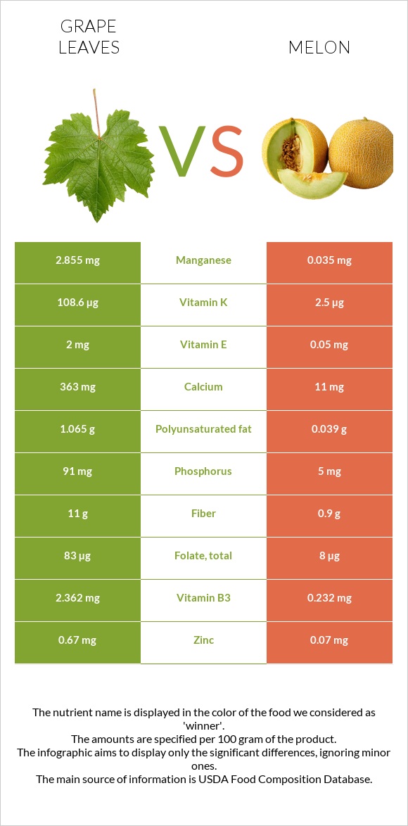 Խաղողի թուփ vs Սեխ infographic