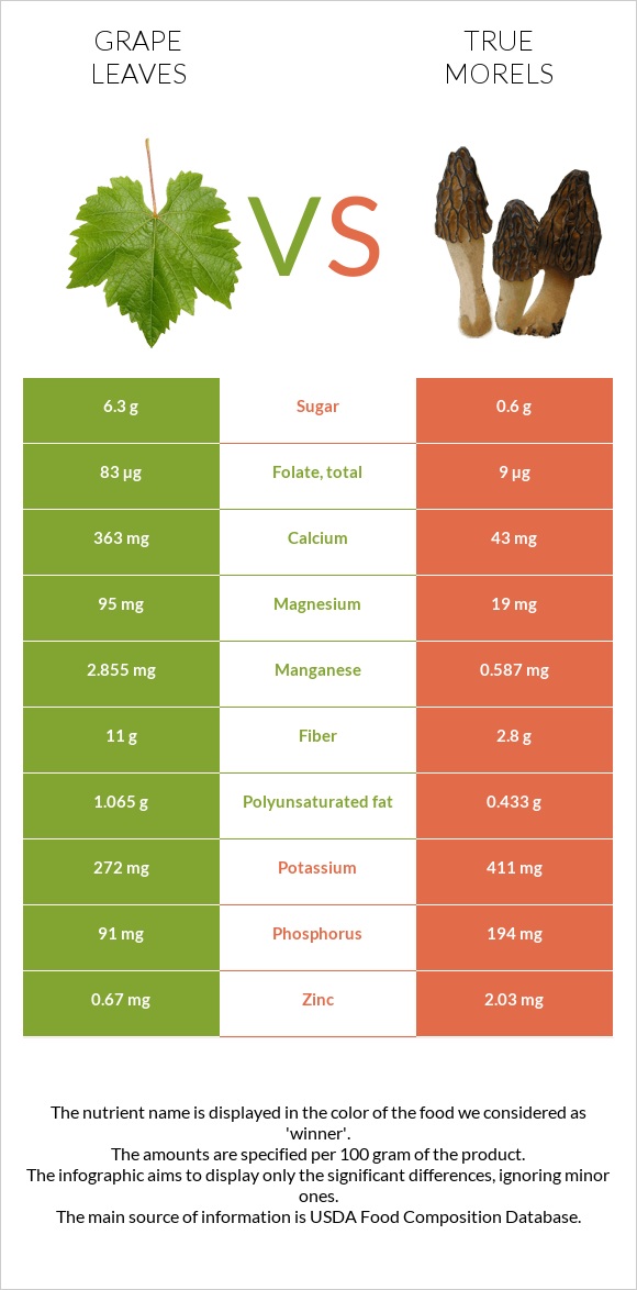 Grape leaves vs True morels infographic