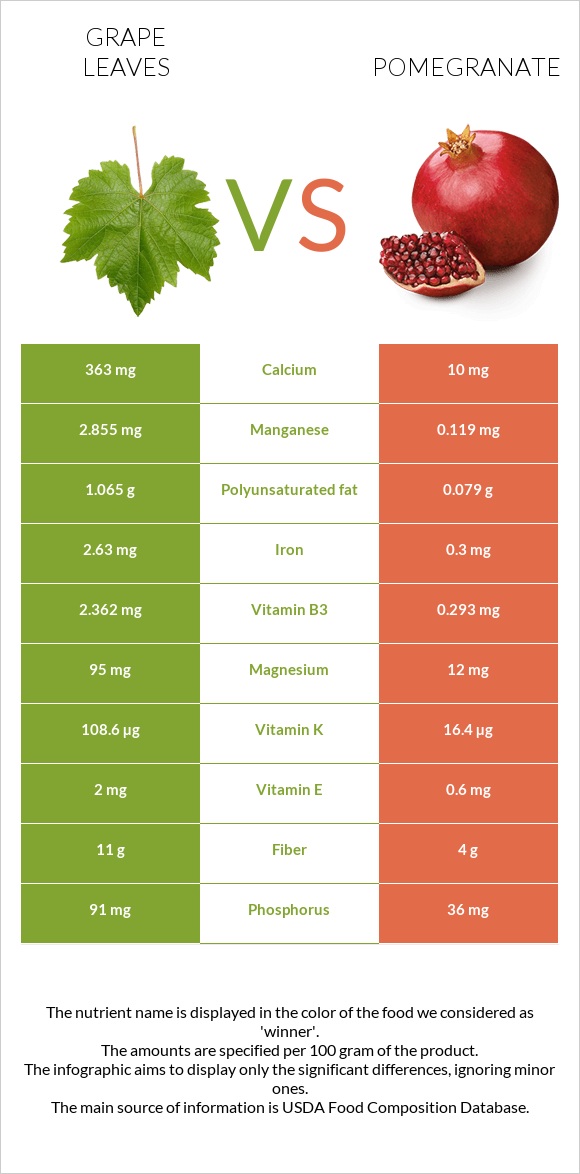 Խաղողի թուփ vs Նուռ infographic