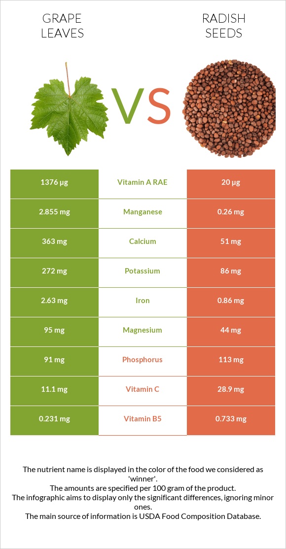 Grape leaves vs Radish seeds infographic