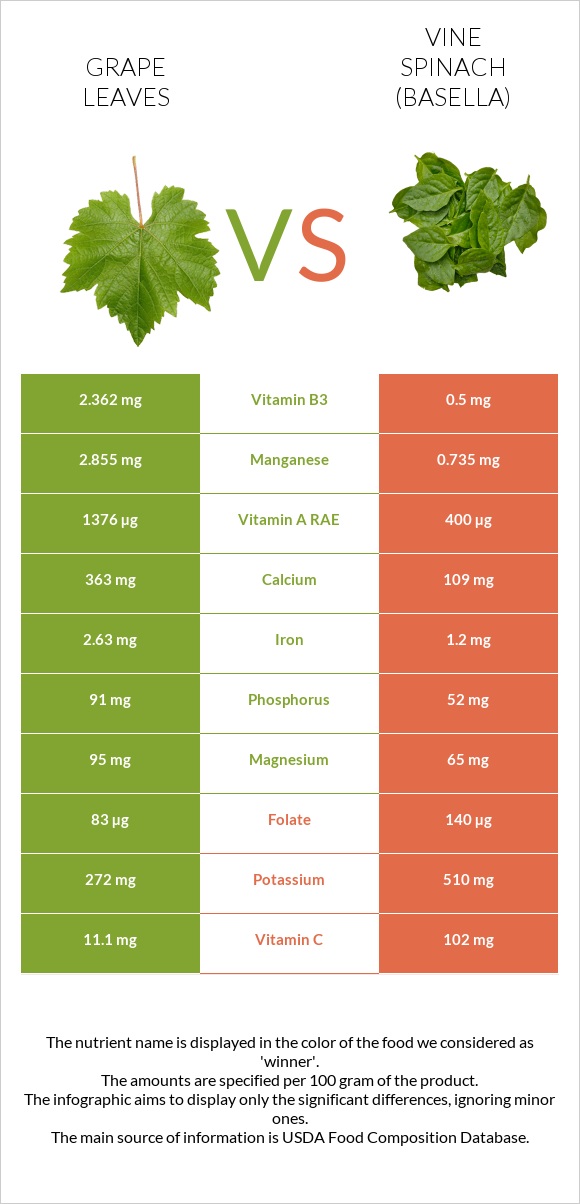 Grape leaves vs Vine spinach (basella) infographic