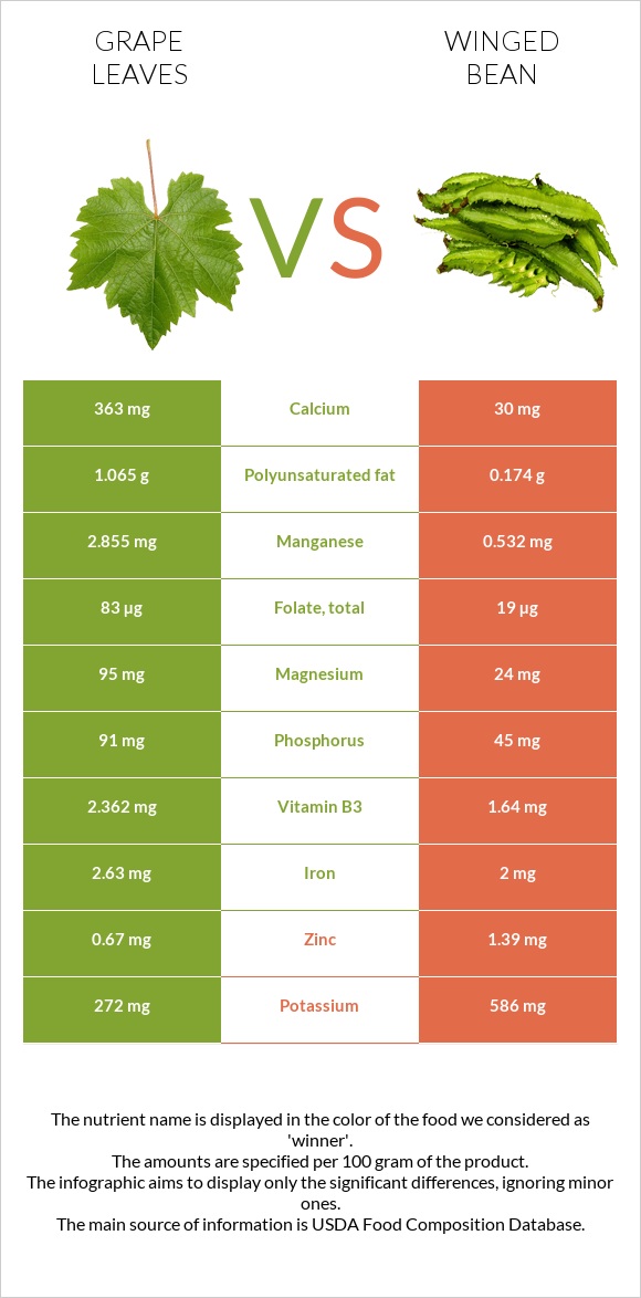 Grape leaves vs Winged bean infographic