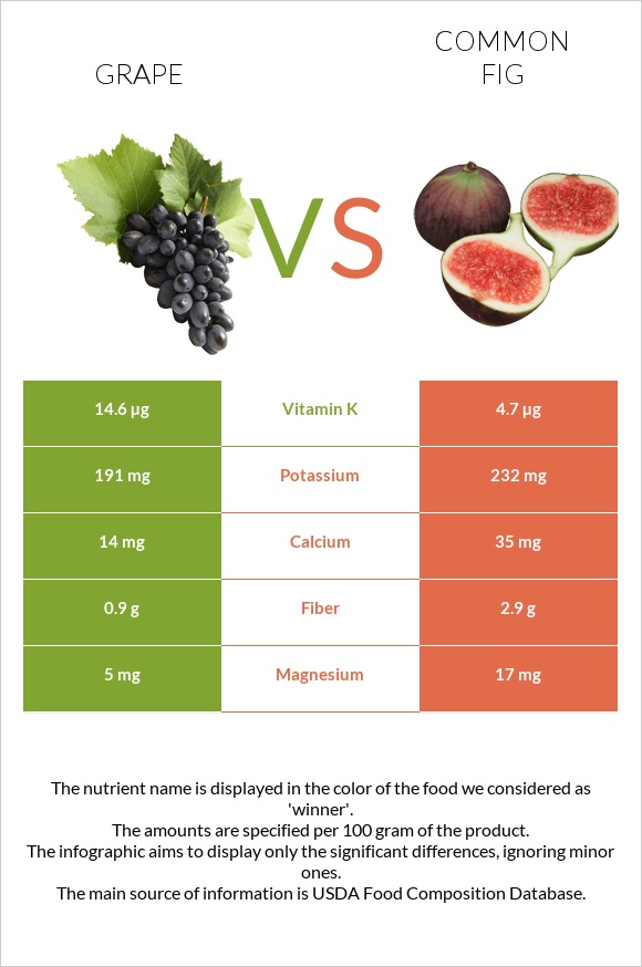 Grape vs Common fig infographic